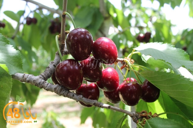 re7la a7ban (90).JPG